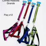 CH-361//🐕 Correa para Mascota Grande con Arnés – Colores Surtidos