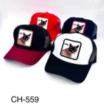CH-559 // GORRA ADULTO