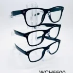 WCH5500 // GAFAS