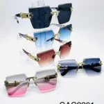 GAC2201 // GAFAS