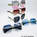 GAC2205 // GAFAS