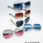 GAC2209 // GAFAS