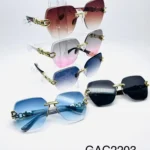 GAC2203 // GAFAS