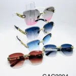 GAC2204 // GAFAS