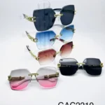 GAC2210 // GAFAS